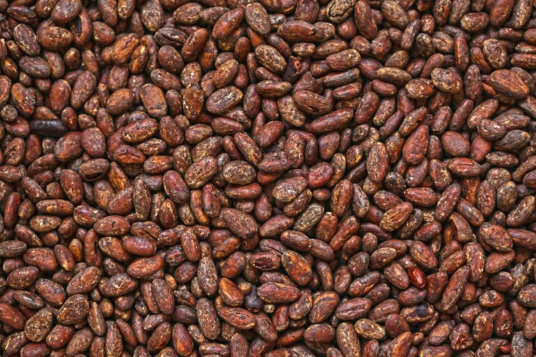 cacao caffeine