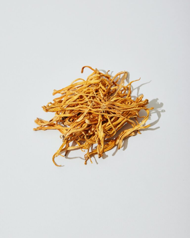 cordyceps